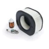 STIHL MS 290, MS 310, MS 390 Chainsaw Service Kit 1 STIHL MS 290, MS 310, MS 390 Chainsaw Service Kit -Power Lawn Equipment 0071e200 47d0 4e48 80ec 6162118e0866