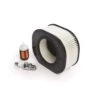STIHL MS 210, MS 230, MS 250 Chainsaw Service Kit -Power Lawn Equipment 369991df 6e84 4ba0 a278 545ce04b453a