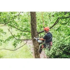 STIHL MSA 161 T 12 In. Battery Chainsaw Tool Only -Power Lawn Equipment 3ecd3446 e4c6 4463 bae3 de4dea1568c1