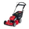 Toro Recycler 22 In. 150 Cc Gas Self-Propelled Lawn Mower 1 Toro Recycler 22 In. 150 Cc Gas Self-Propelled Lawn Mower -Power Lawn Equipment 4a193fb7 b0be 4390 b0aa 8b4cf8f0be96