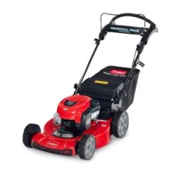 Toro Recycler 22 In. 150 Cc Gas Self-Propelled Lawn Mower