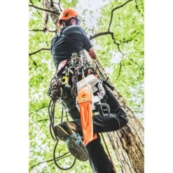 STIHL MSA 161 T 12 In. Battery Chainsaw Tool Only -Power Lawn Equipment 8df3b23a 6733 4ba2 b519 8e2484d401e6