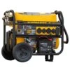 Firman Performance Series 8000 W 120/240 V Gasoline Portable Generator 2 Firman Performance Series 8000 W 120/240 V Gasoline Portable Generator -Power Lawn Equipment 9c6fbd8a 889c 4c1e 8f46 087b63ebdc9e