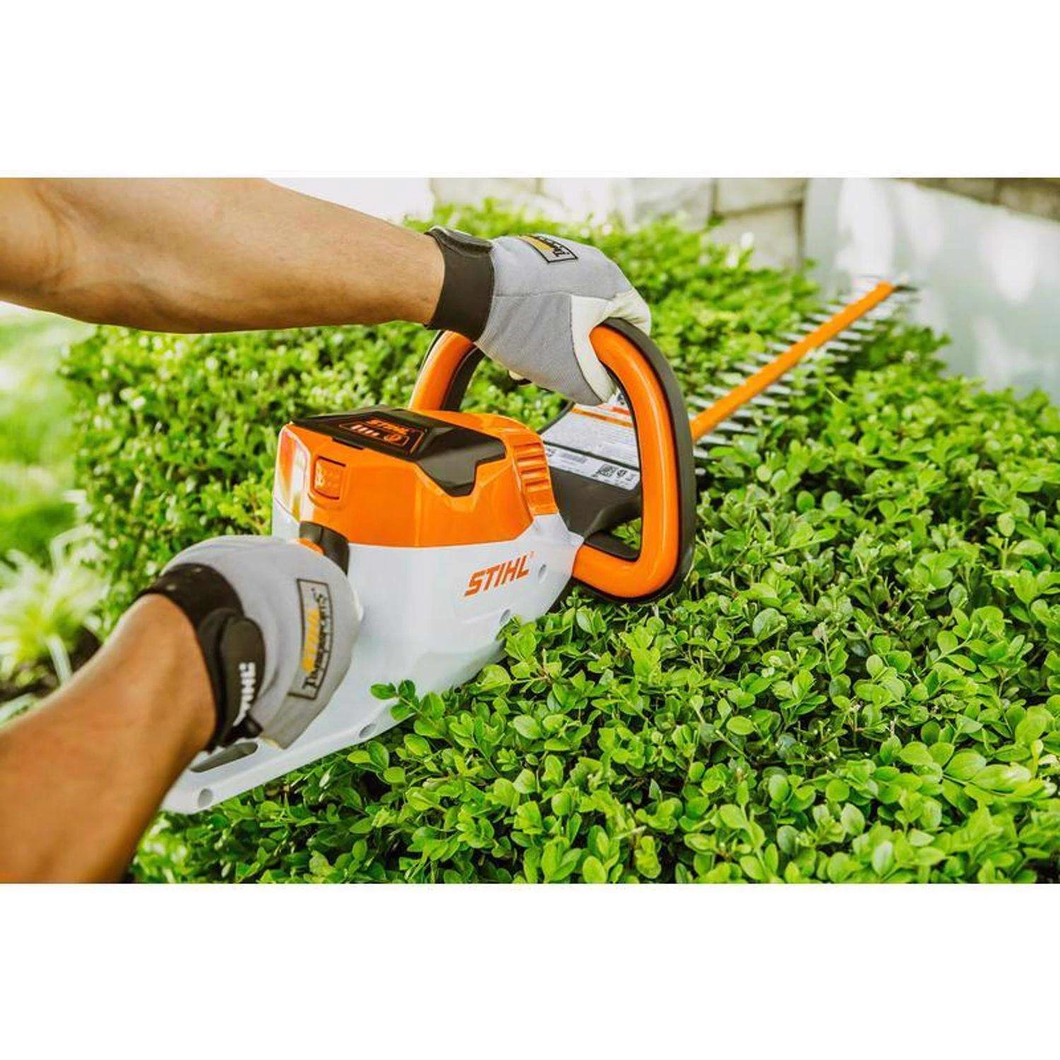 STIHL HSA 56 18 In. 36 V Battery Hedge Trimmer Kit (Battery & Charger) 9 STIHL HSA 56 18 In. 36 V Battery Hedge Trimmer Kit (Battery & Charger) - Image 7