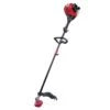 Troy-Bilt 41BD304S766 17 In. Gas String Trimmer 1 Troy-Bilt 41BD304S766 17 In. Gas String Trimmer -Power Lawn Equipment c8c8ac1a 17df 4801 9c5e 7ae0893db9e0